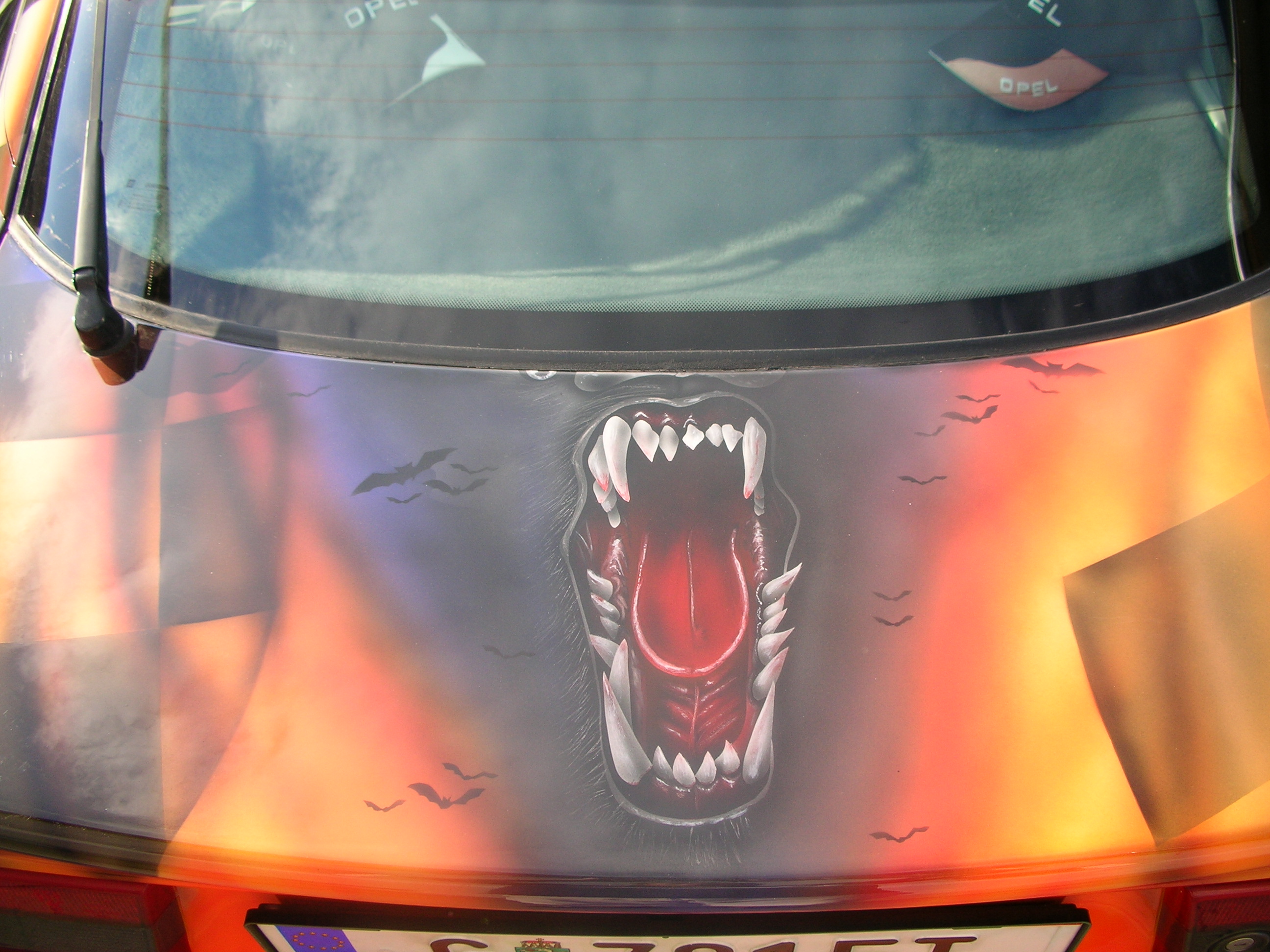 dscn0502.jpg